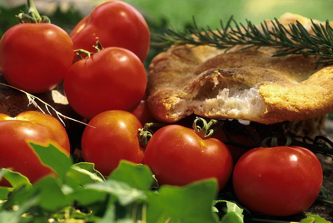 Frische Tomaten, Focaccia & Rosmarinzweig