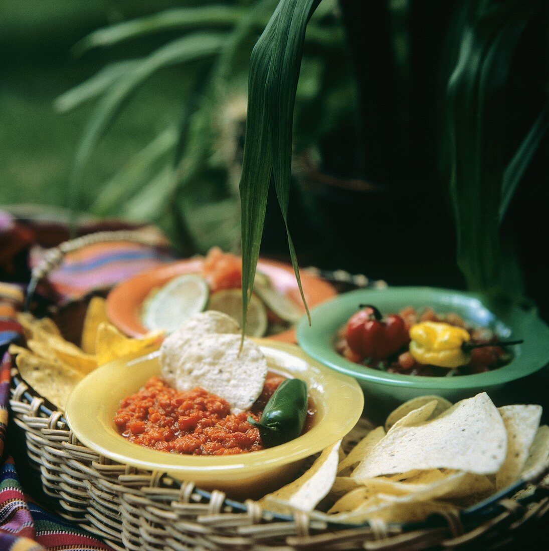 Salsa & Guacamole mit Maischips auf Korbtablett im Freien