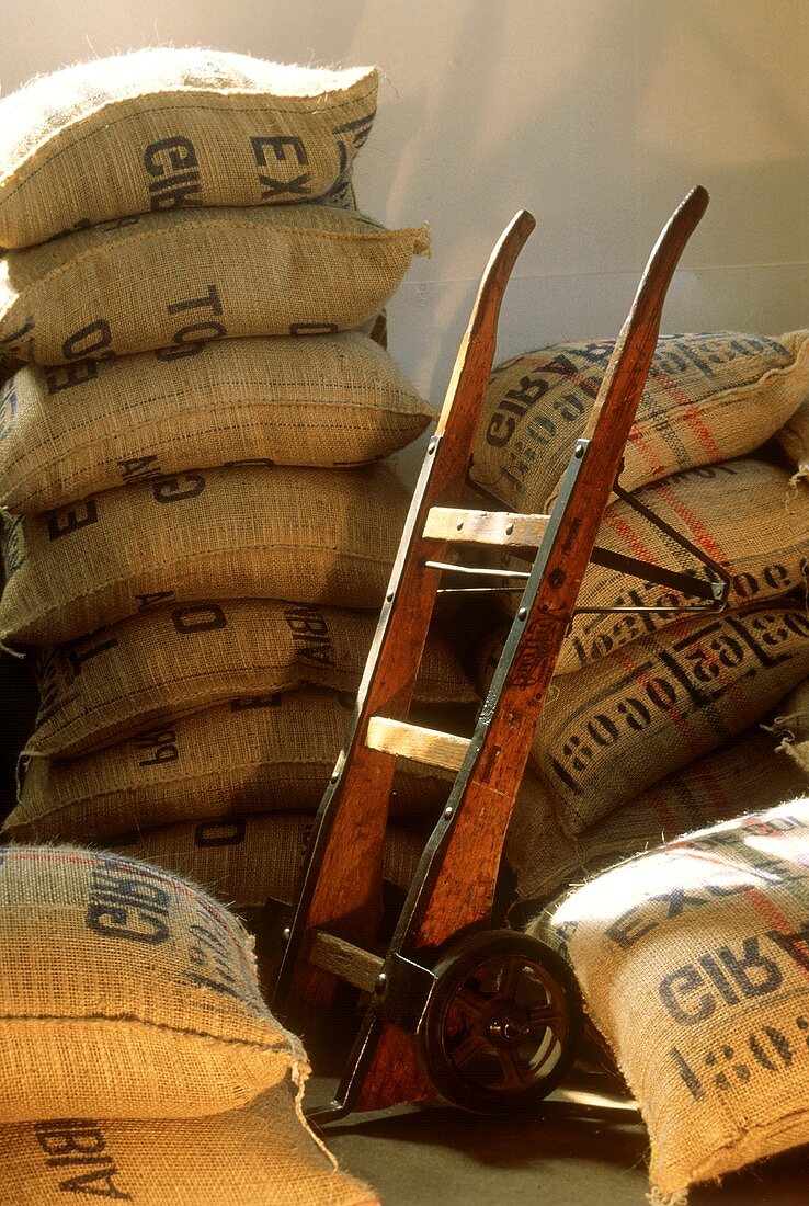 Coffee Beans in Burlap Bags in Warehouse