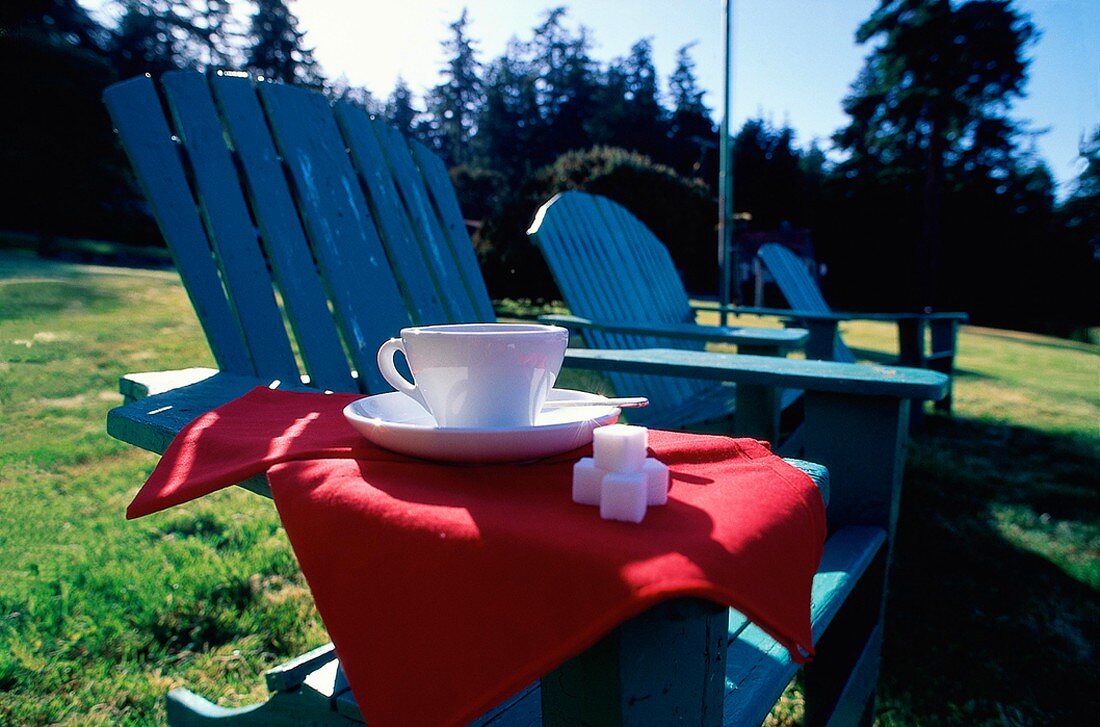 Coffee on the Arm of an Adirondack Chair