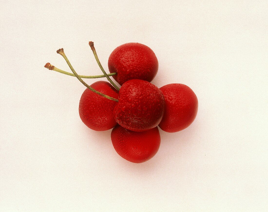 Five Fresh Cherries with Stems