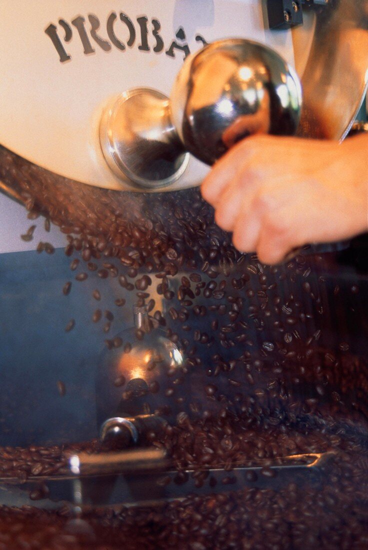 Frisch gerösteter Kaffee fällt aus der Röstmaschine