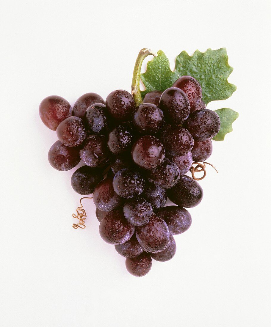 Rote Weintrauben mit Wassertropfen
