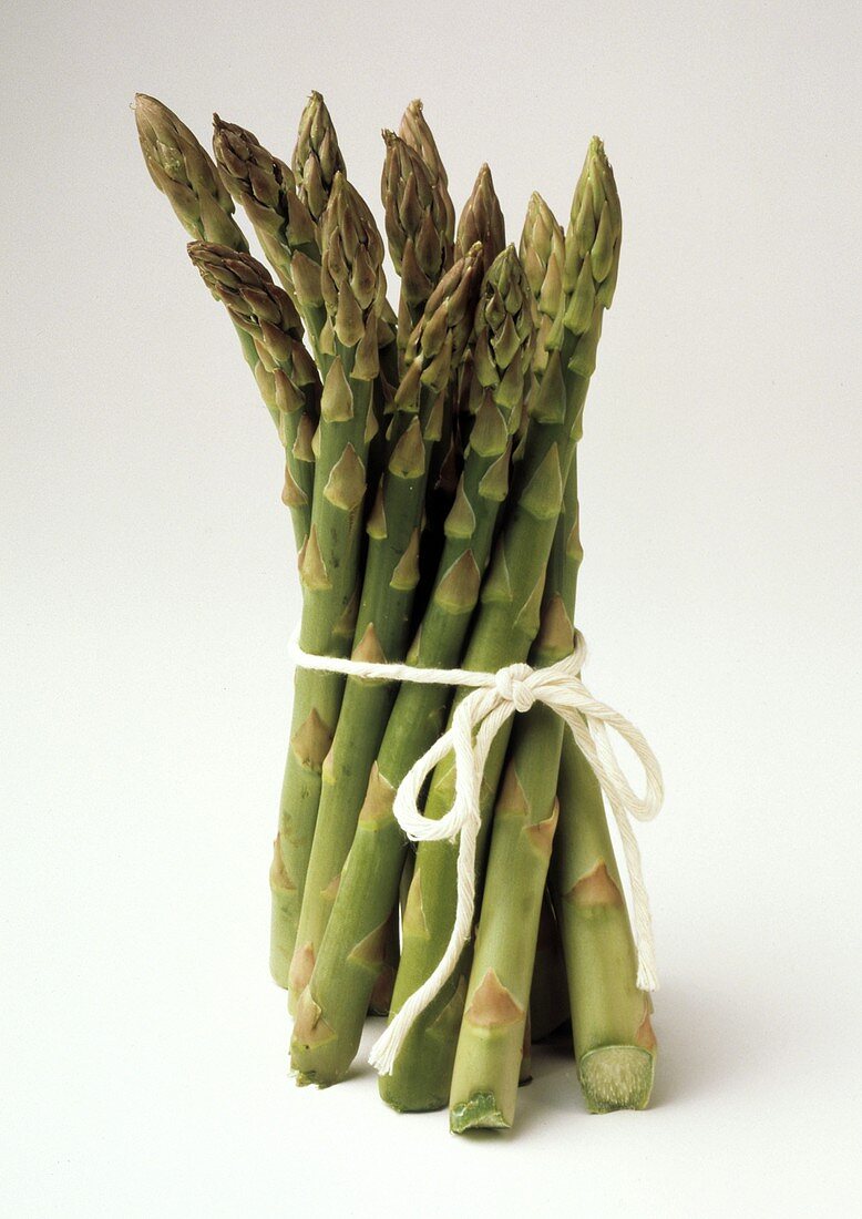 Fresh Thin Asparagus Spears; Bundled with String