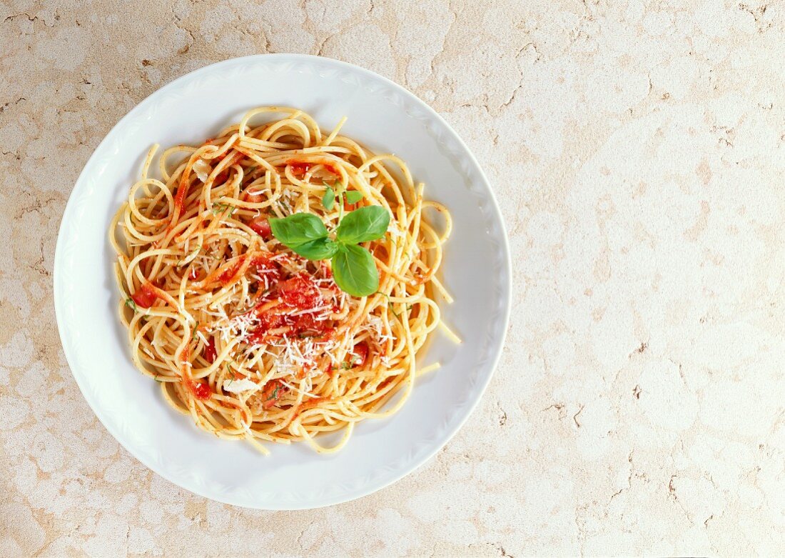 Spaghetti with Tomato Sauce and Parmesan Cheese