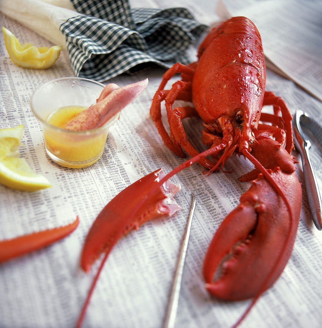 Boiled Lobster with Drawn Butter; Newspaper