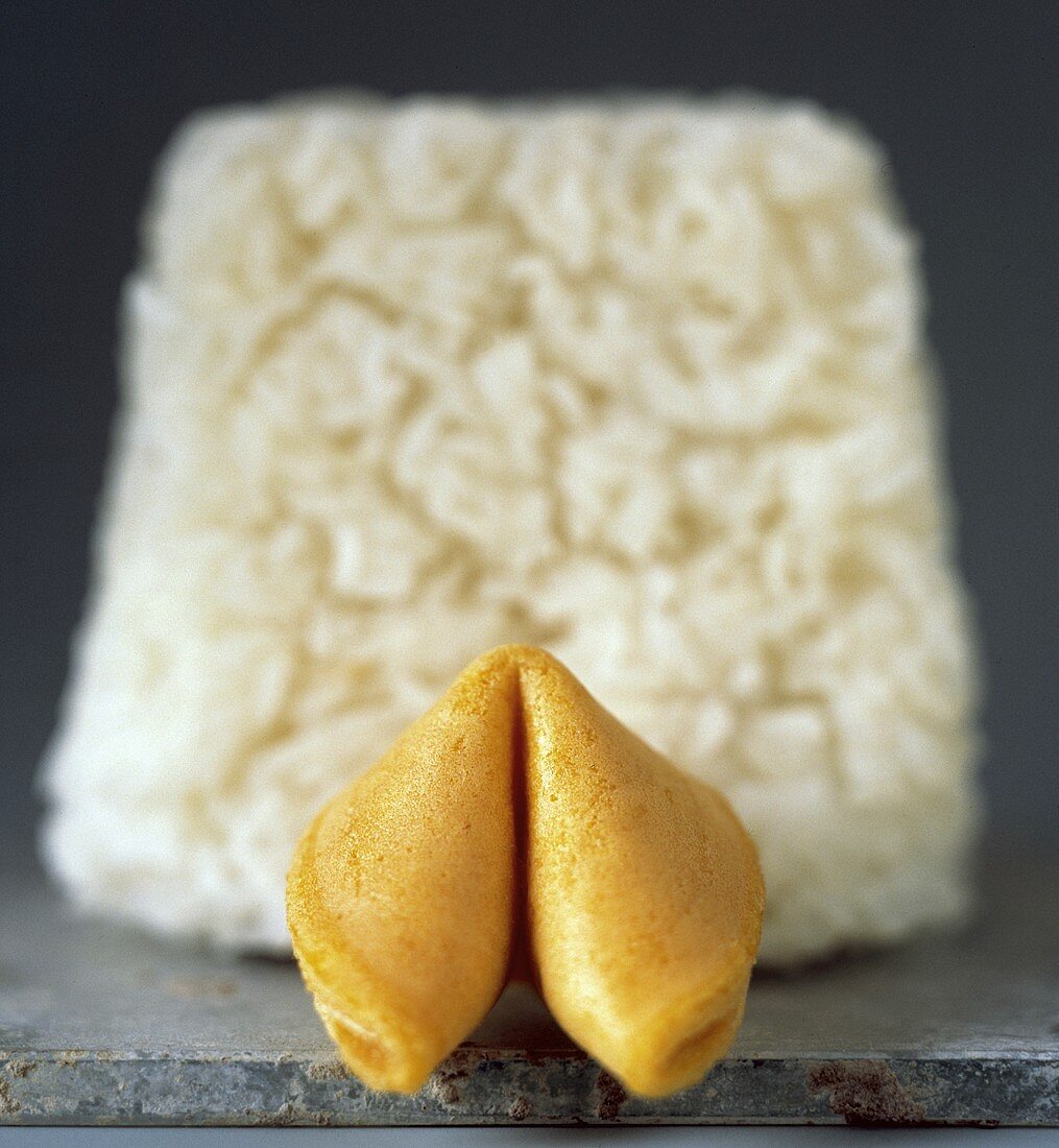 Ein Glückskeks vor Reis (unscharf)