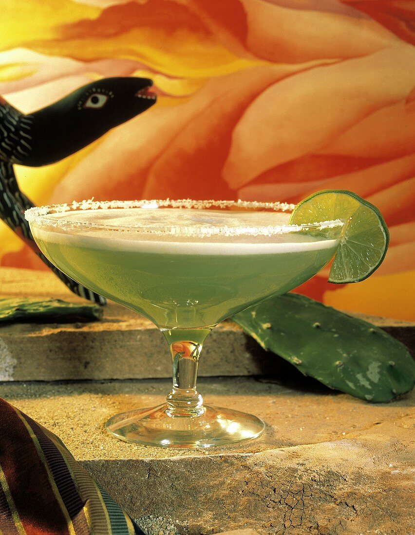 Margarita Cocktail mit Limetten & Salzrand