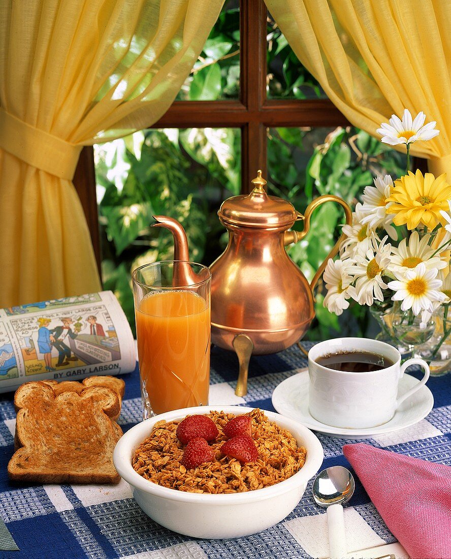 Frühstück mit Müsli, Kaffee, Orangensaft & Toast vor Fenster