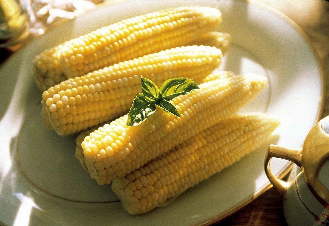 Corn on the Cob on a Platter