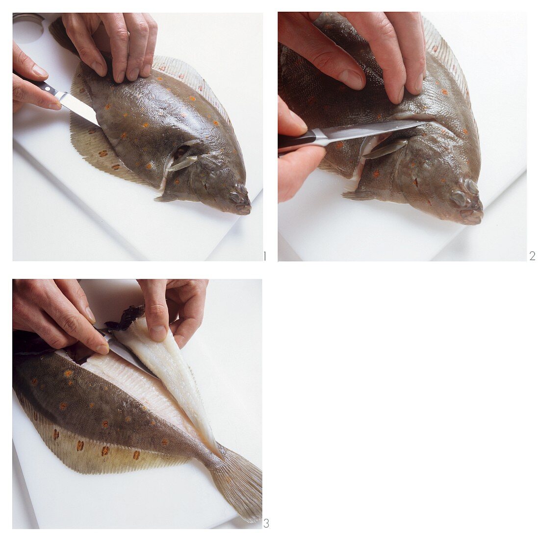 Preparing and filleting flat-fish