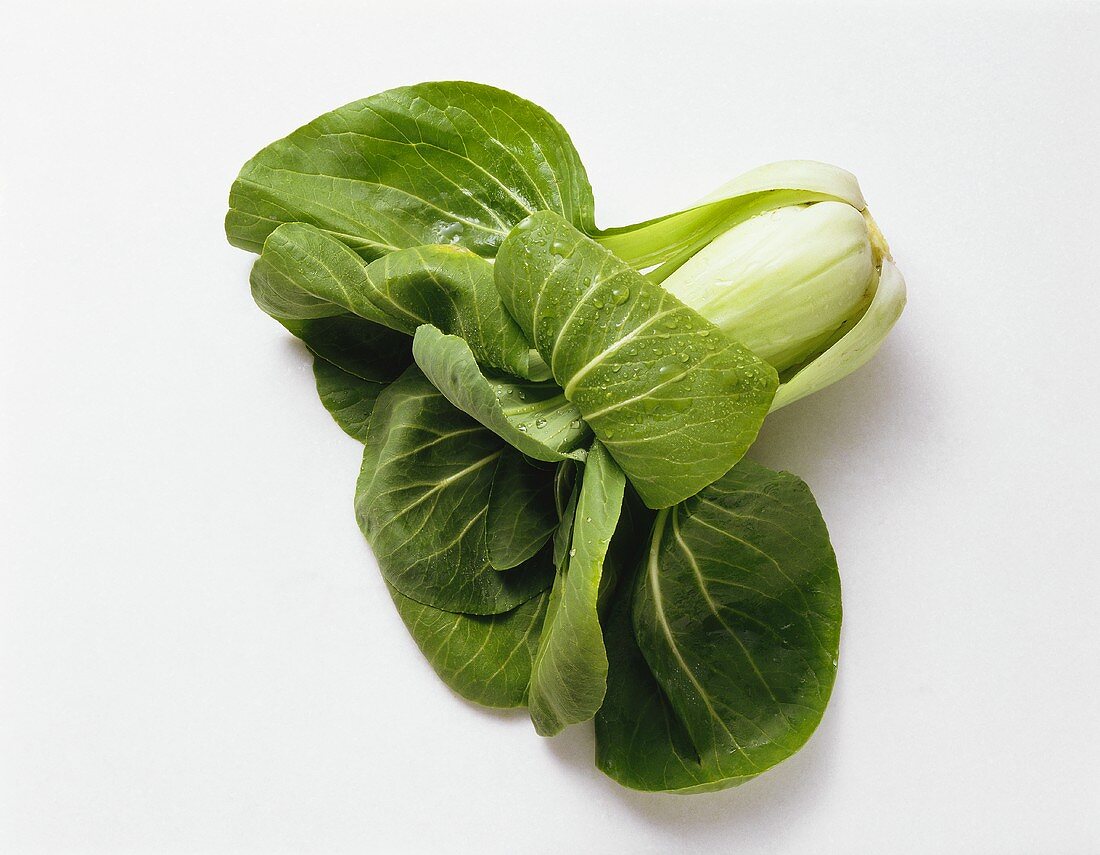 Pak Choi