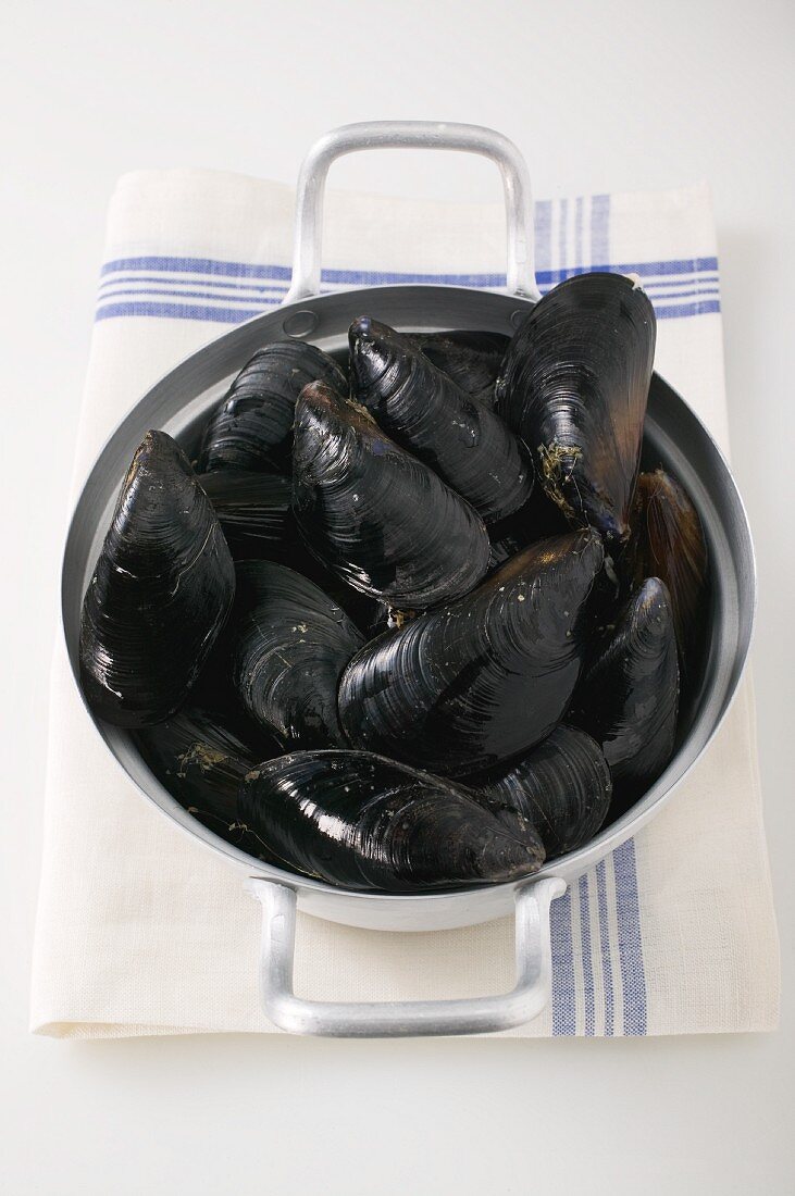 Mussels in a pot on a tea towel