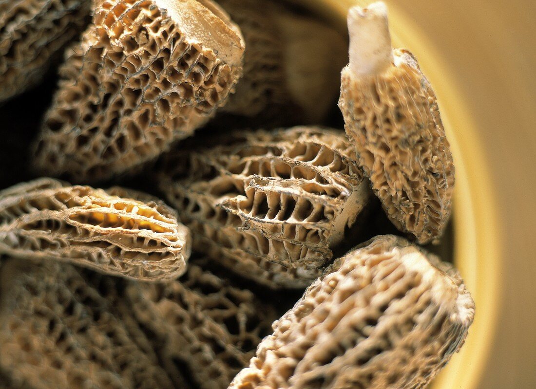 Fresh Morel Mushrooms in a Bowl