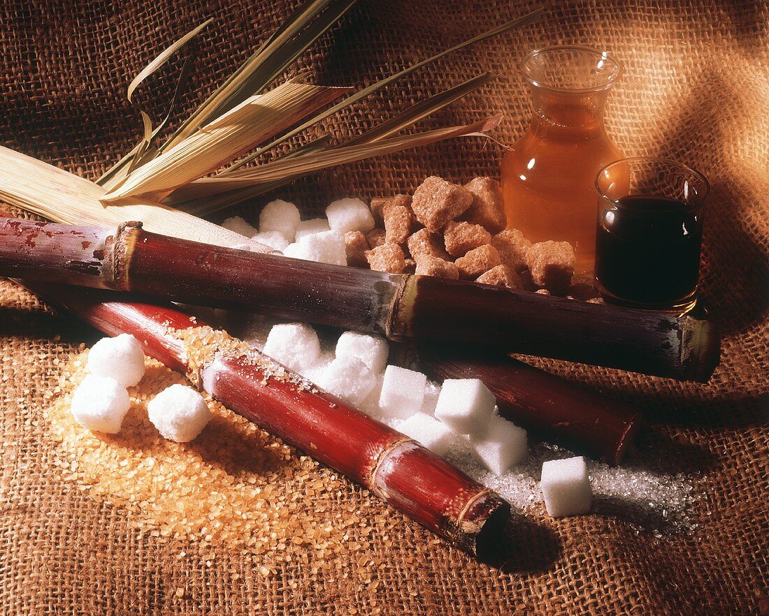 Sugar Still Life