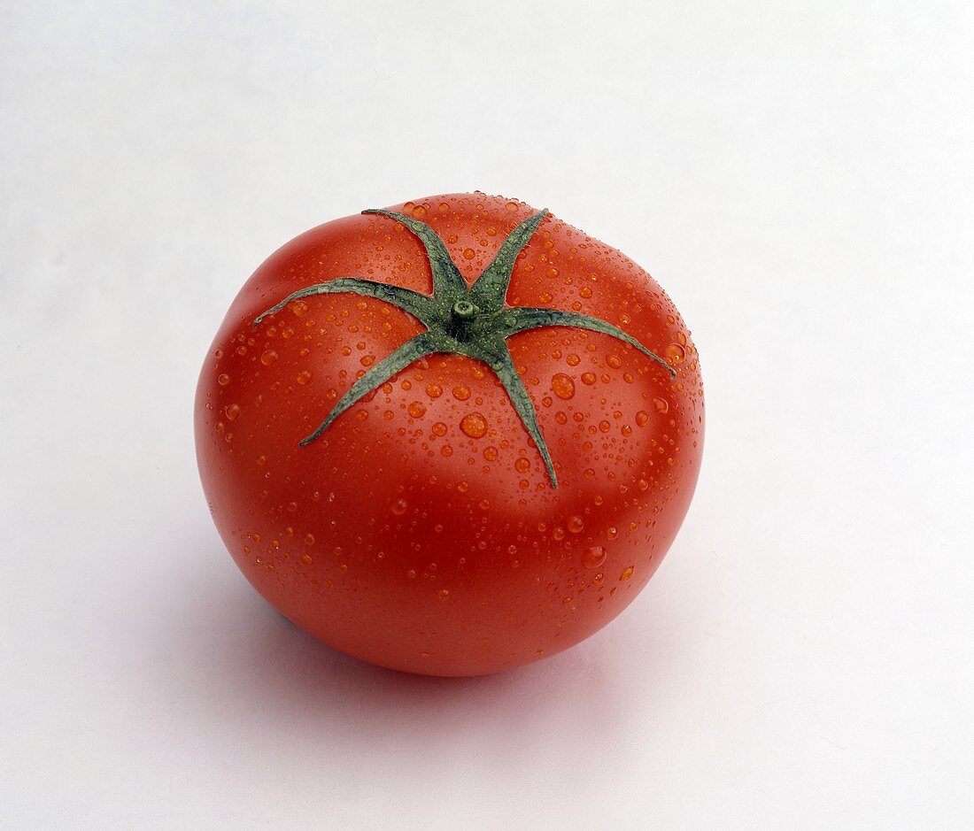 Eine Tomate mit Wassertropfen auf weißem Untergrund