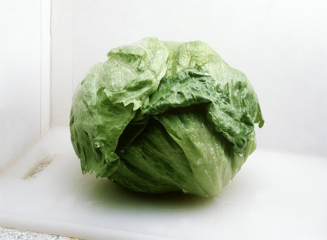 Head of Iceberg Lettuce
