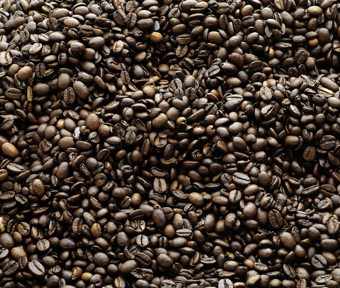 Coffee Beans