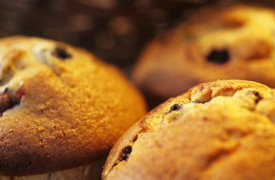 Blueberry muffins