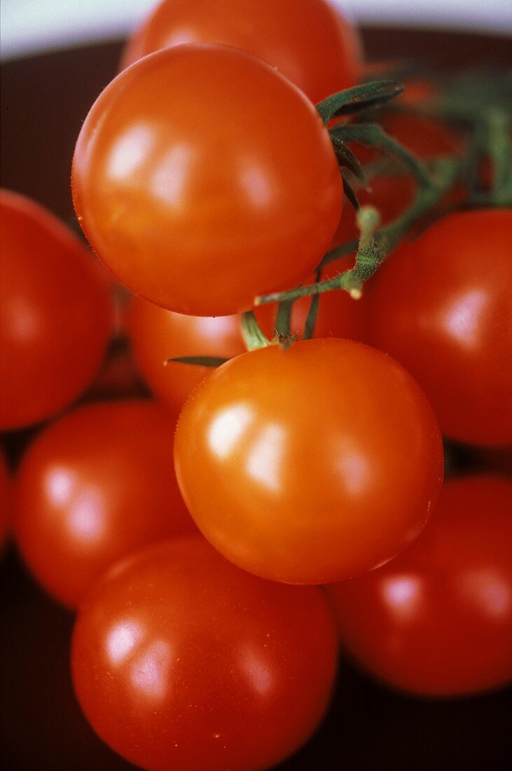 Cherry Tomatoes