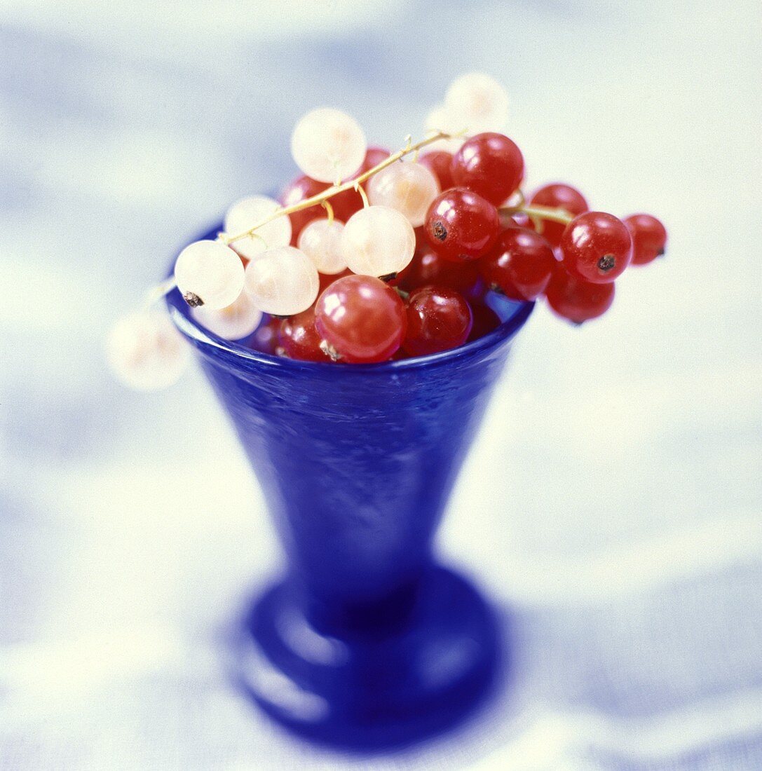 White and Red Currants in Blue Vase