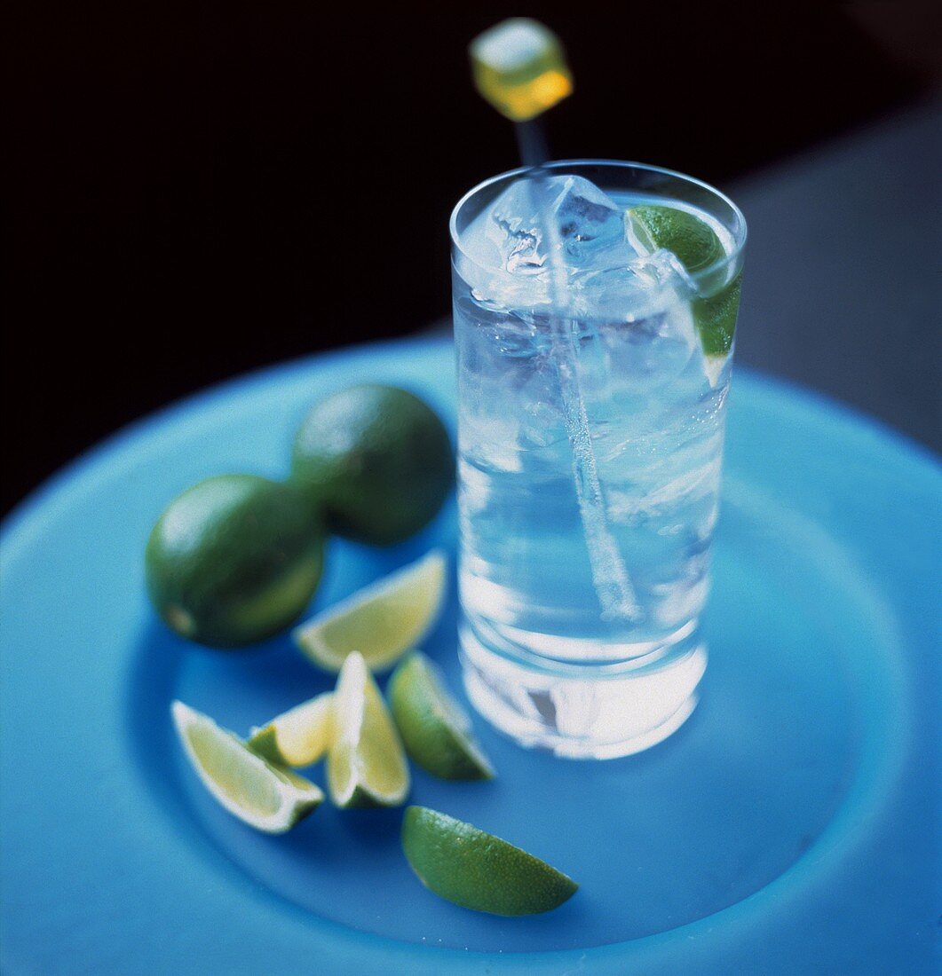 Ein Glas Gin-Tonic und einige Limettenschnitze