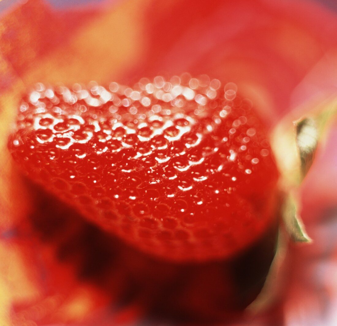 Eine Erdbeere auf rotem Untergrund