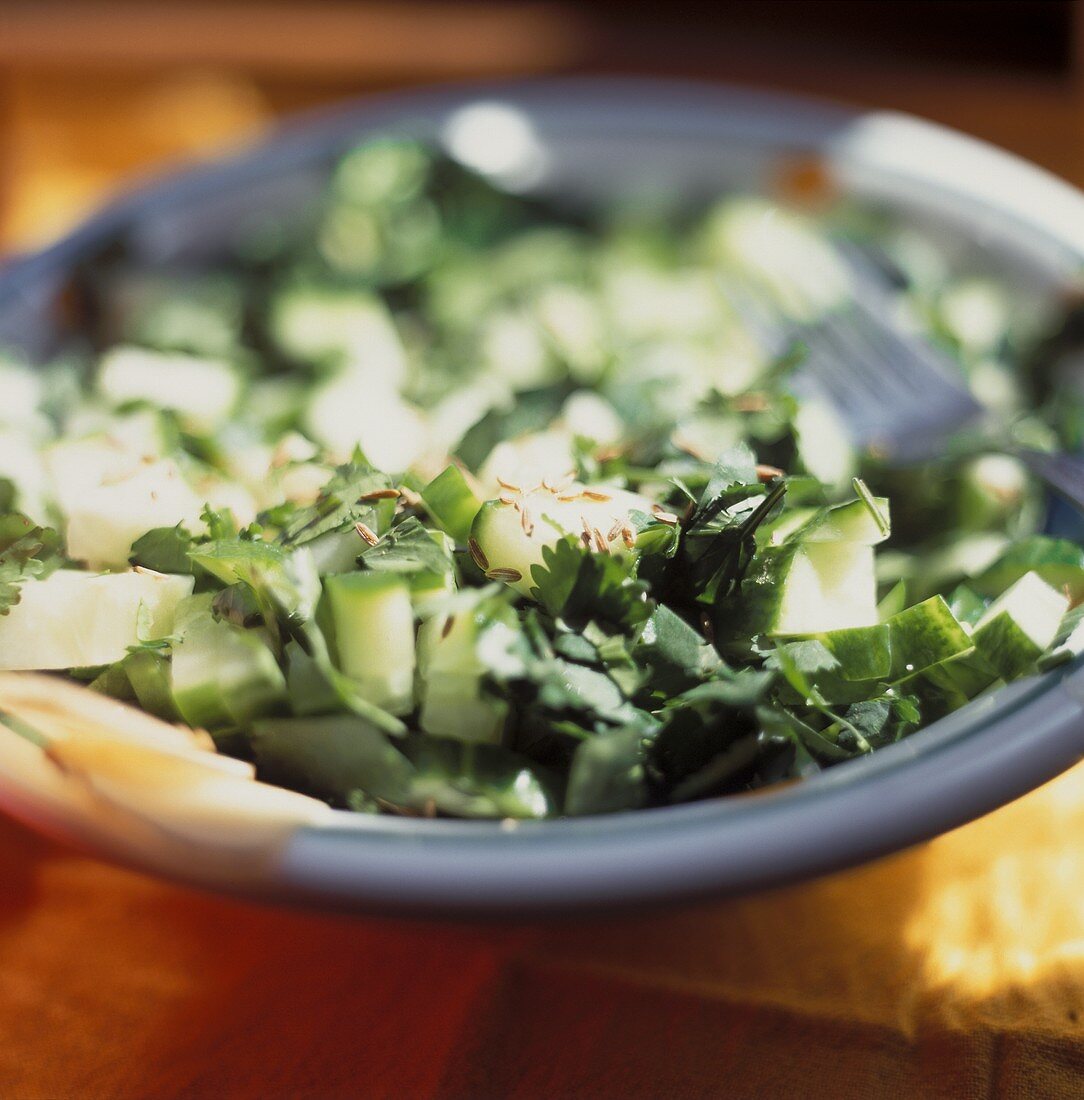 Gurken-Fenchel-Salat mit Petersilie