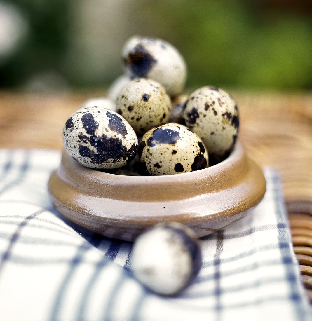 Quail Eggs