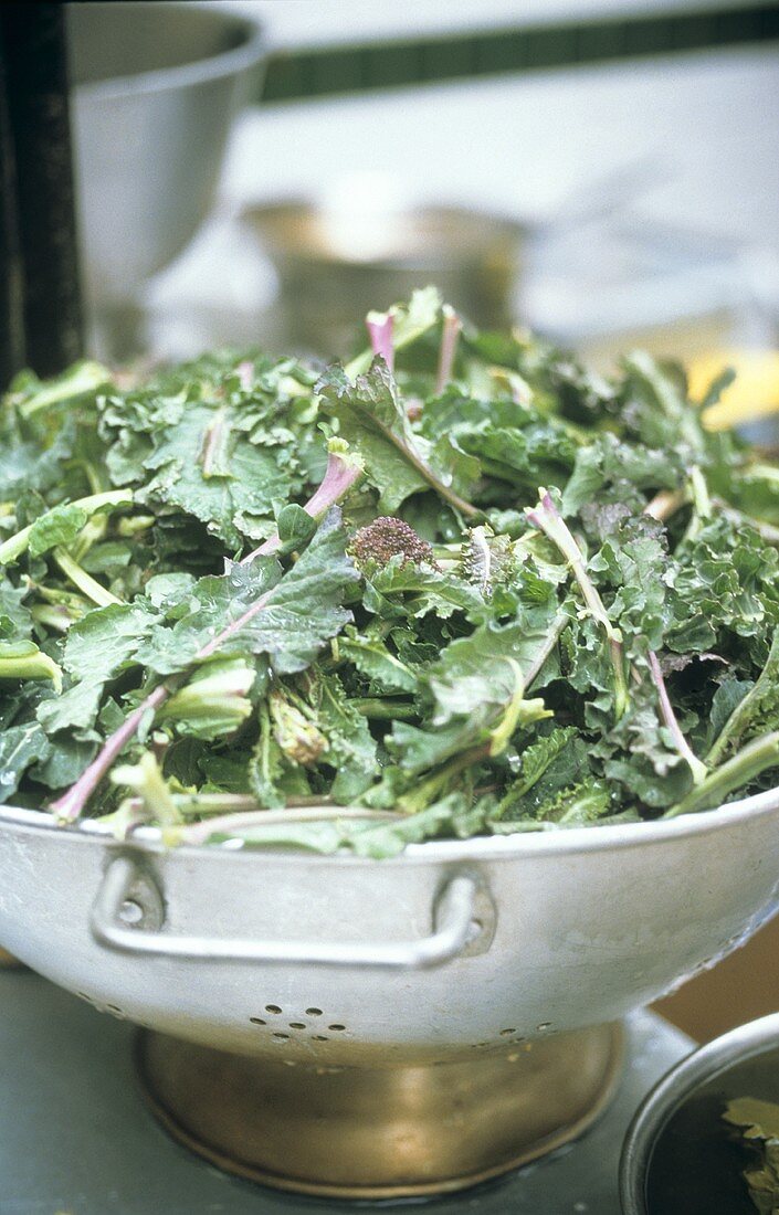 Young broccoli leaves and shoots in a colander