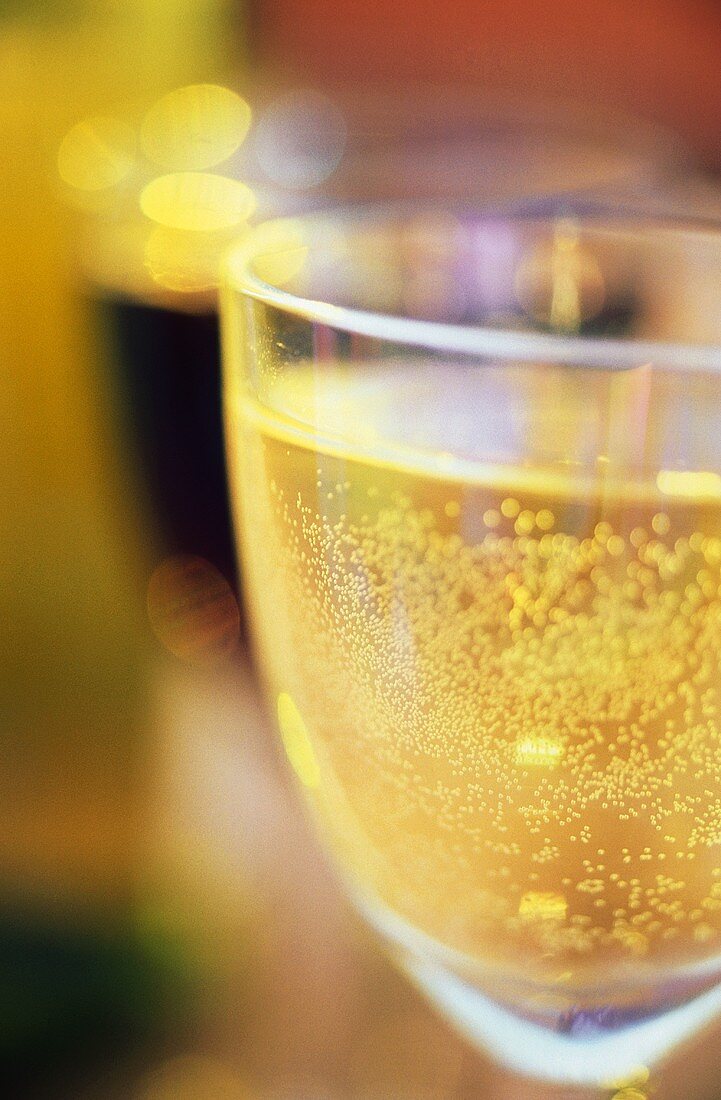 A Glass of White Wine