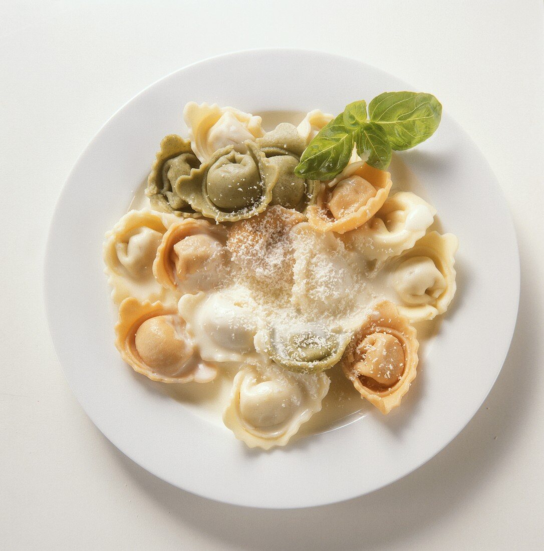 Tortellini mit Parmesan (Emilia-Romagna, Italien)