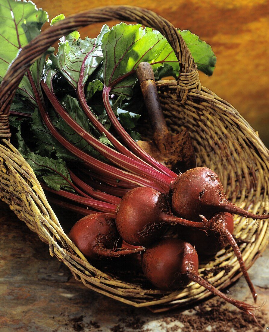 Red Beets in a Basket
