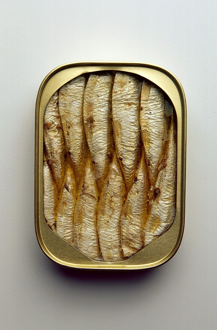 A tin of sardines
