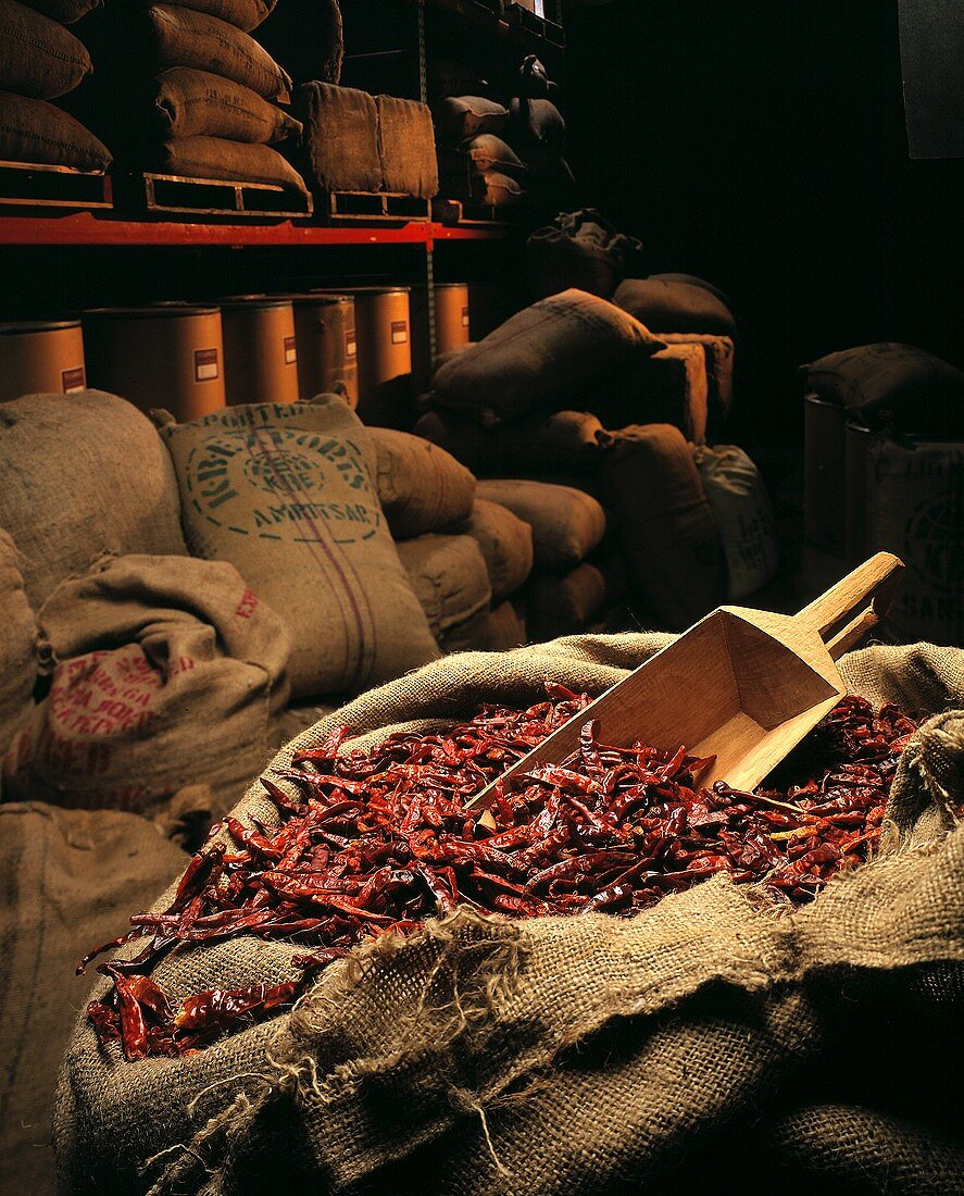 Burlap Bags of Dried Chili Peppers in a Warehouse