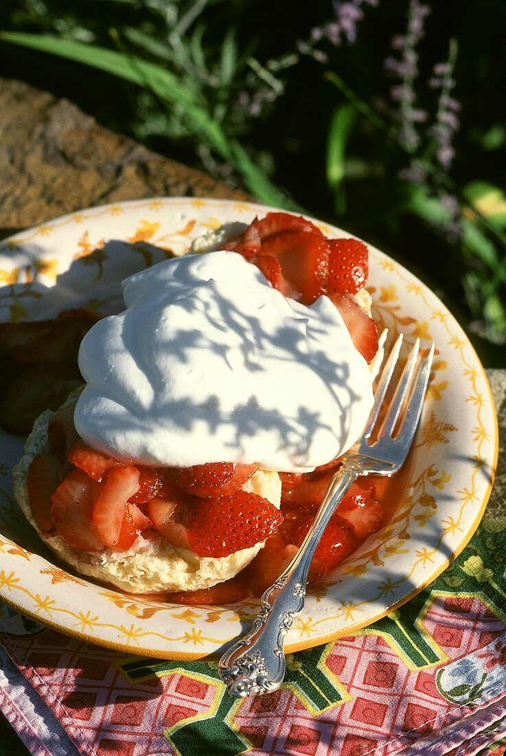 Strawberry Shortcake auf Teller im Freien