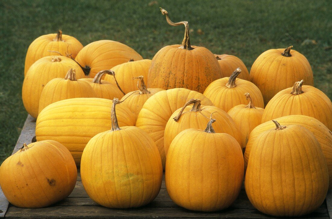 Pumpkins