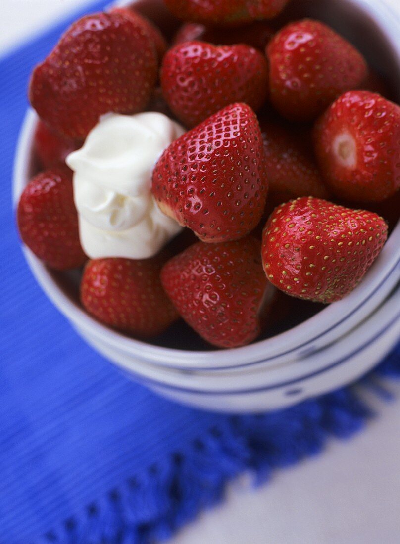 Frische Erdbeeren mit Klecks Sahne