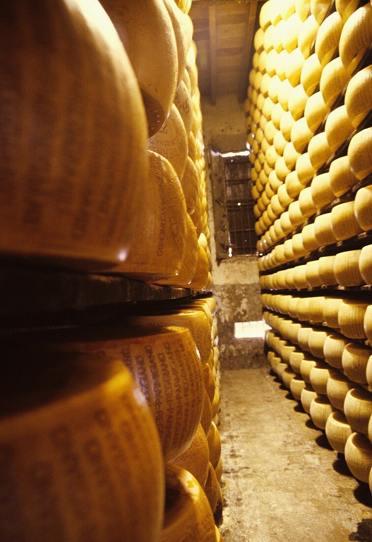 Käseherstellung in Italien: Parmesankäse reifen im Lager