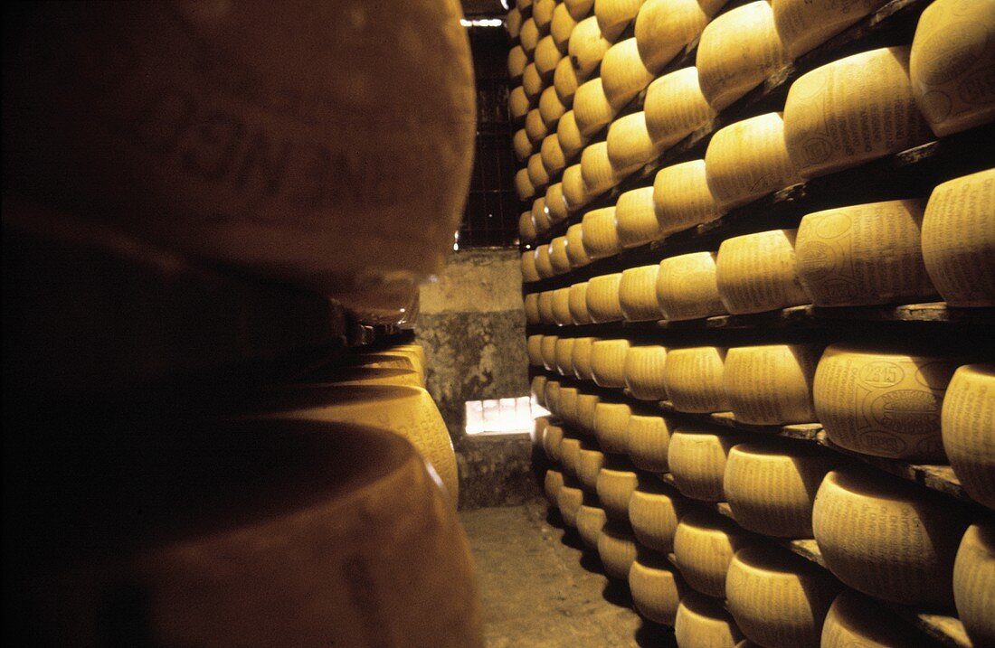 Käseherstellung in Italien: Parmesankäse reifen im Lager