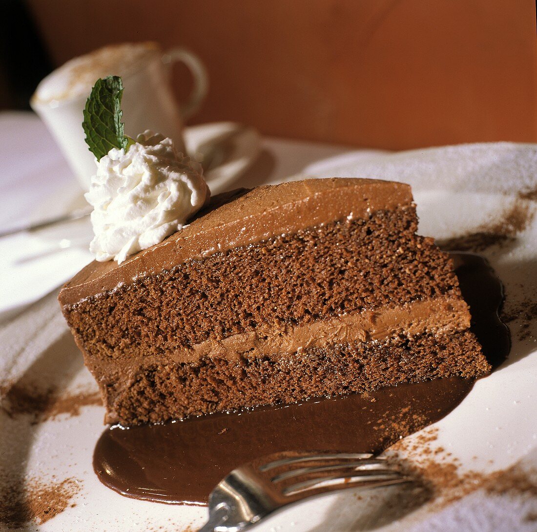 Double Layer Chocolate Cake with Chocolate Sauce