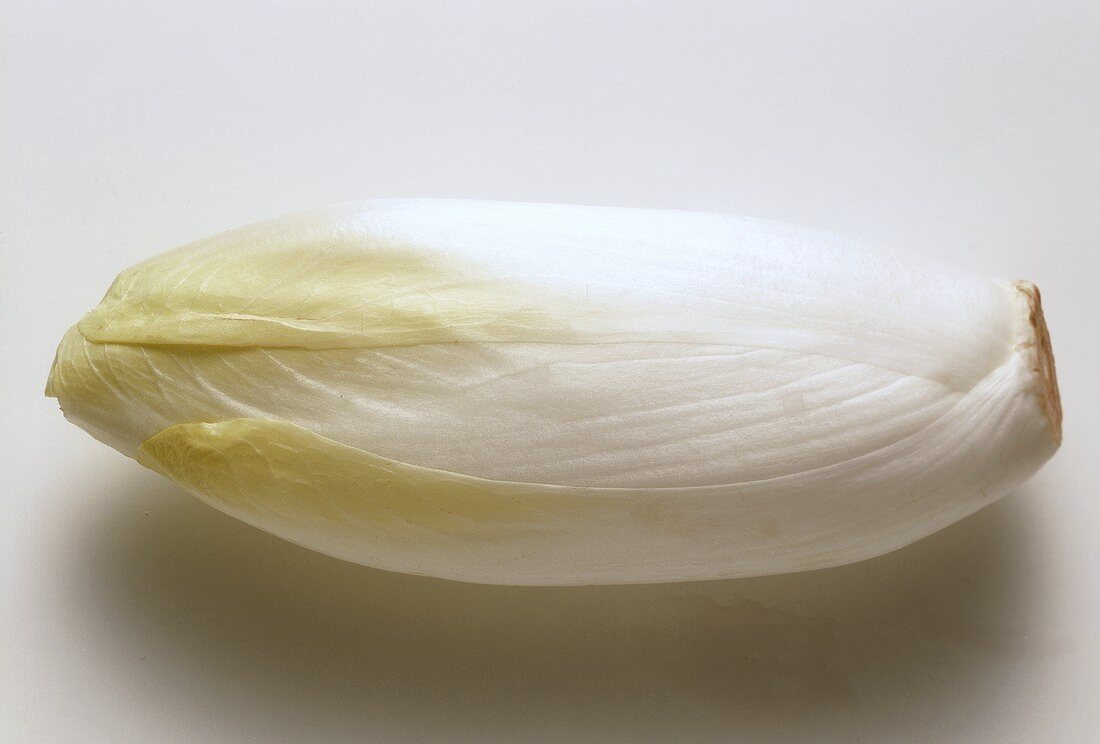 A Whole Belgian Endive