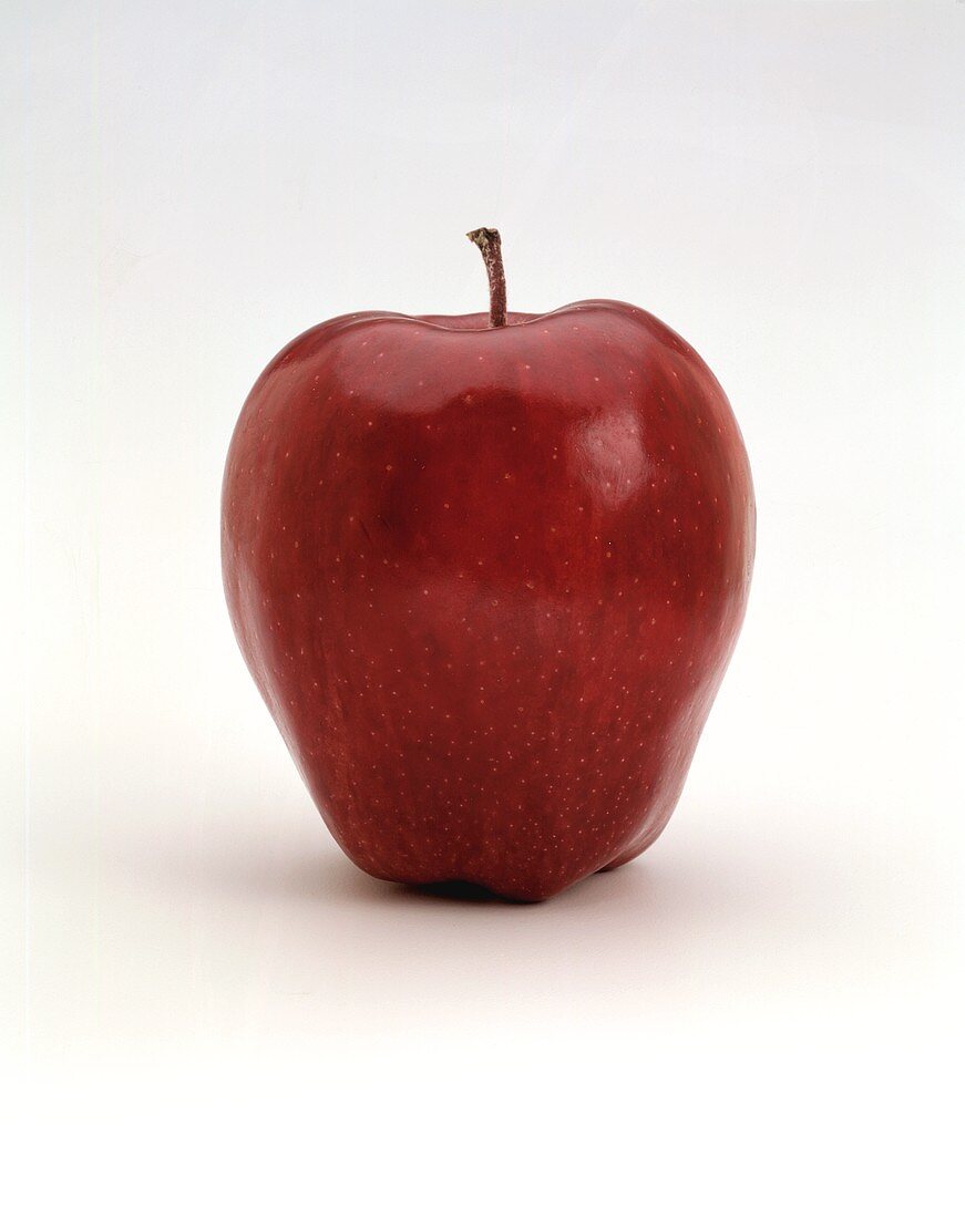 Red Delicious Apple