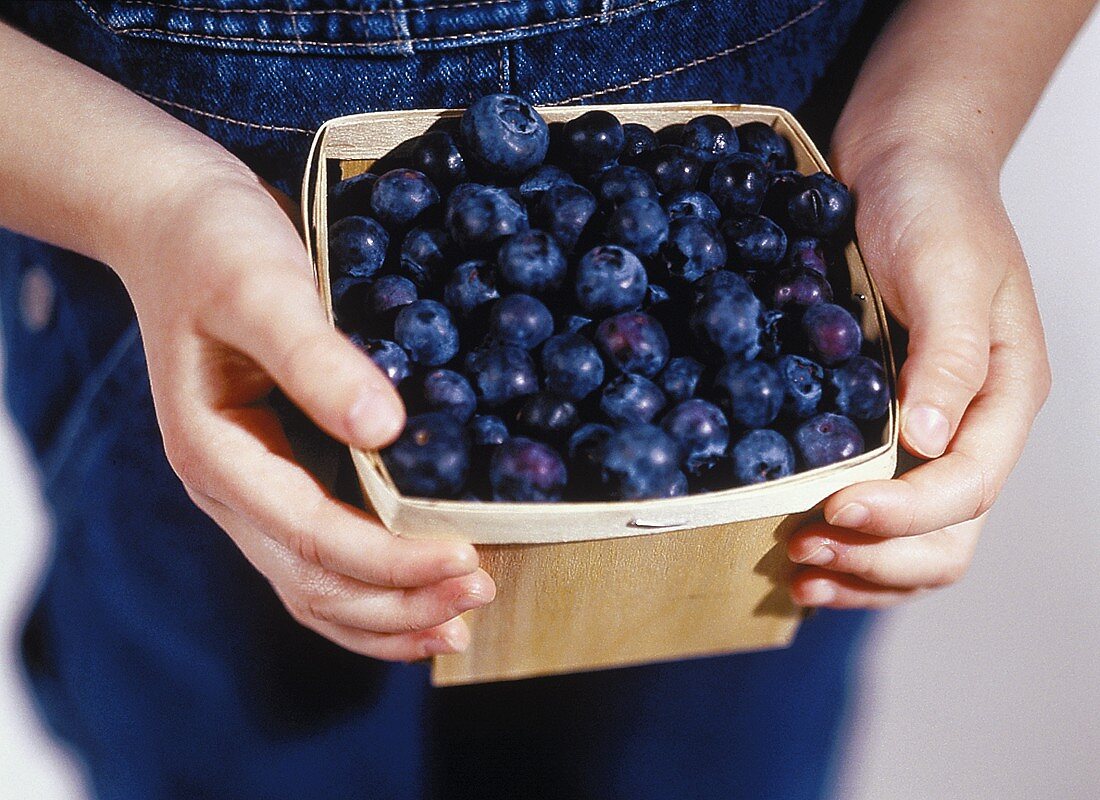 Hände halten Körbchen mit Heidelbeeren