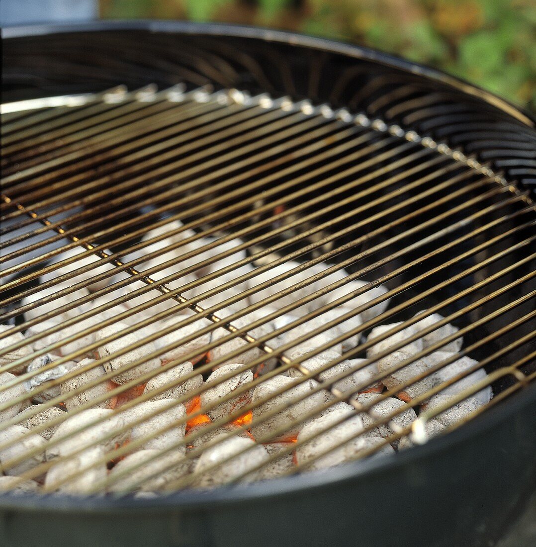 BBQ Grill with Coals