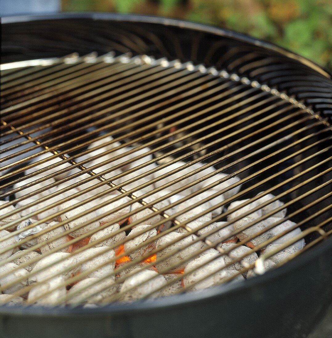 Grill mit glühender Holzkohle