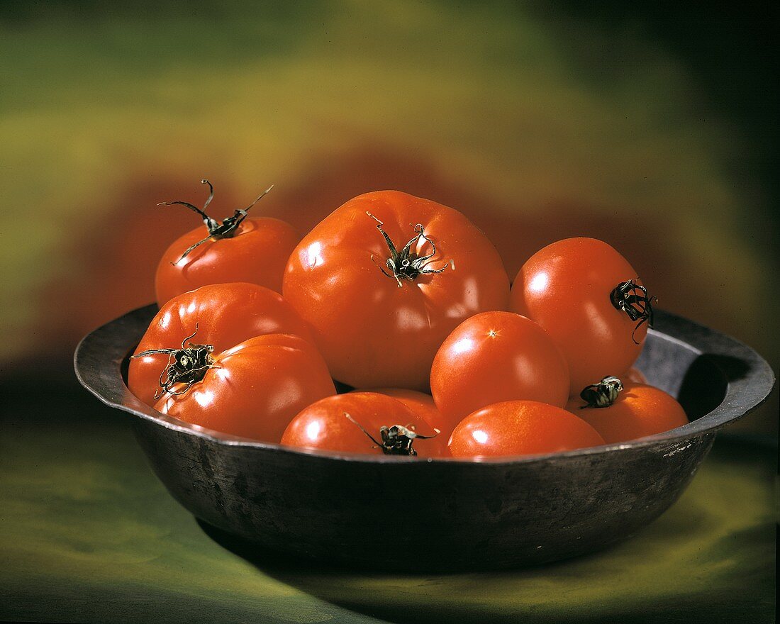Frische Tomaten in einer Schale