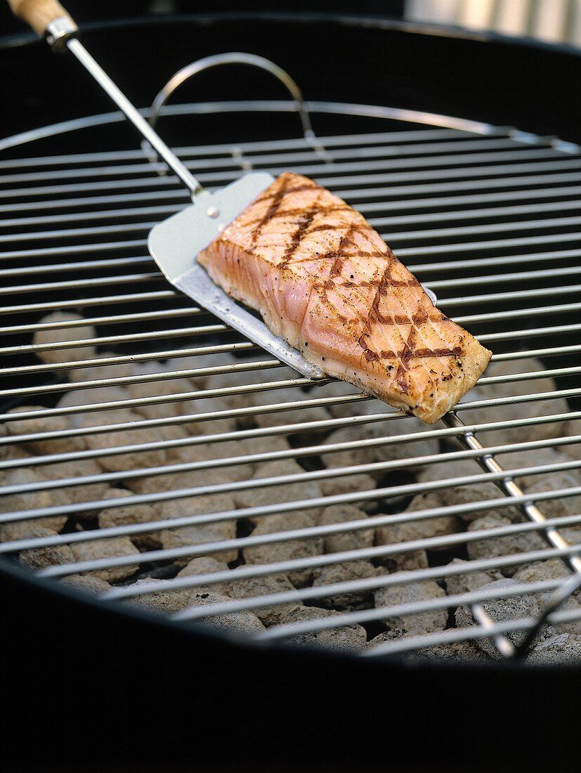 Grilled Salmon on a Spatula; Charcoal