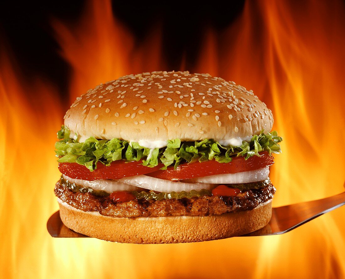 Hamburger auf Heber vor offenem Feuer