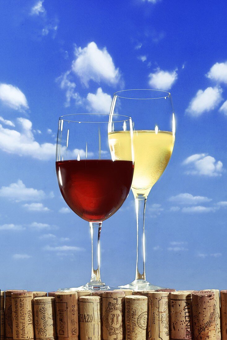 Rotwein- und Weissweinglas vor blauem Himmel